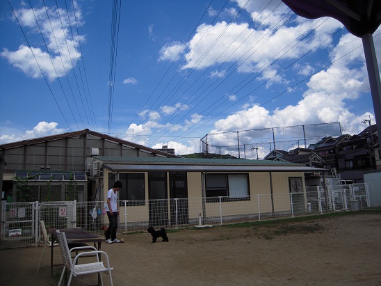 DSCN5924.jpg
