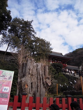DSCN6842.jpg