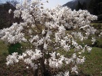 DSCN6960.jpg