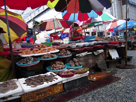 DSCN8197.jpg