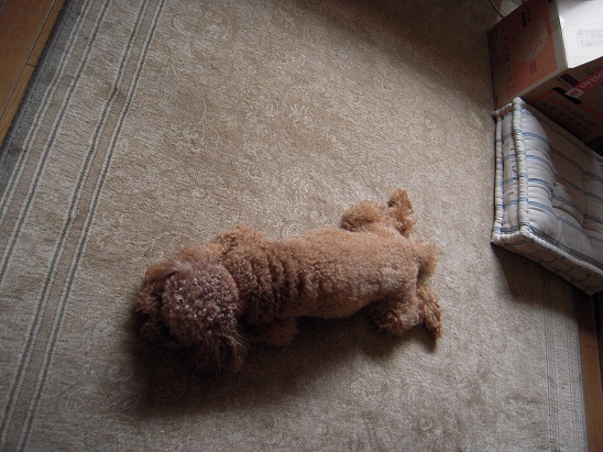 DSCN5880.jpg