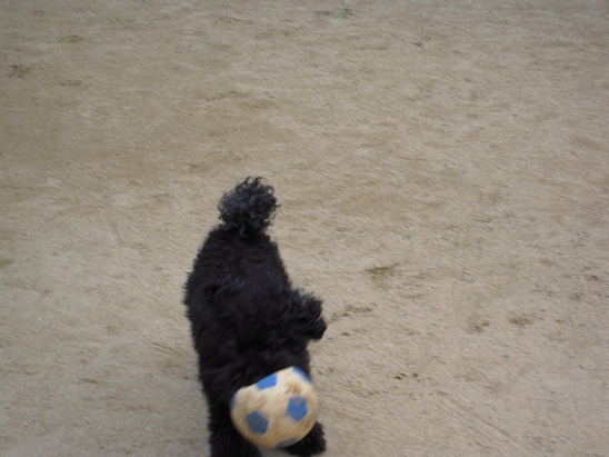 DSCN5909.jpg