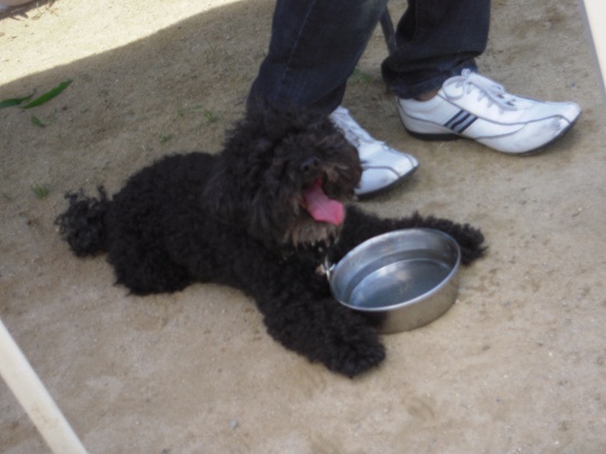 DSCN5928.jpg