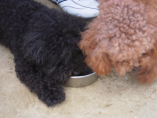 DSCN5929.jpg
