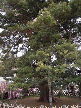 DSCN6838.jpg