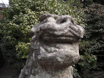 DSCN6847.jpg