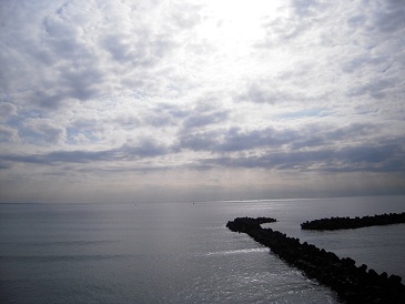 DSCN6856.jpg