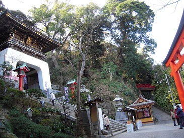 DSCN6861.jpg