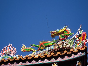 DSCN6882.jpg