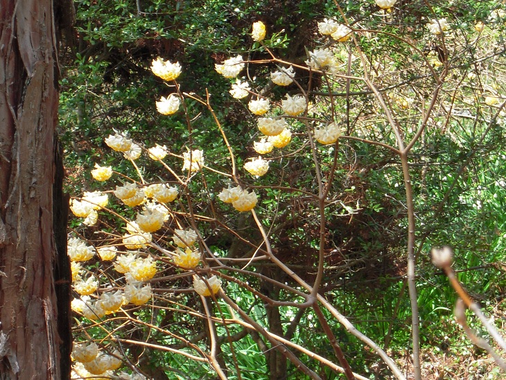 DSCN6959.jpg