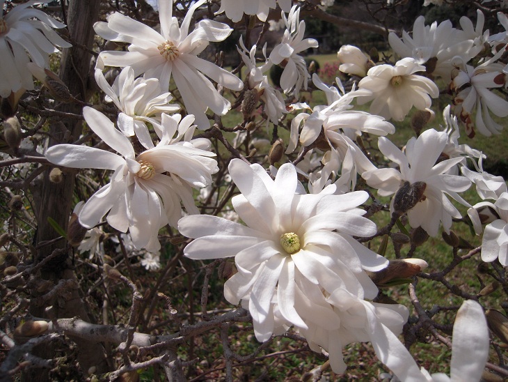 DSCN6961.jpg