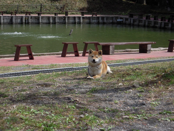 DSCN6964.jpg