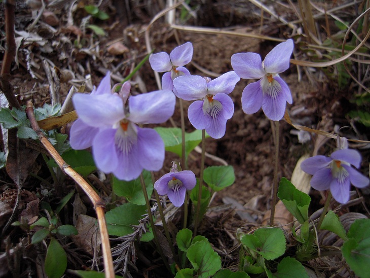 DSCN6971.jpg