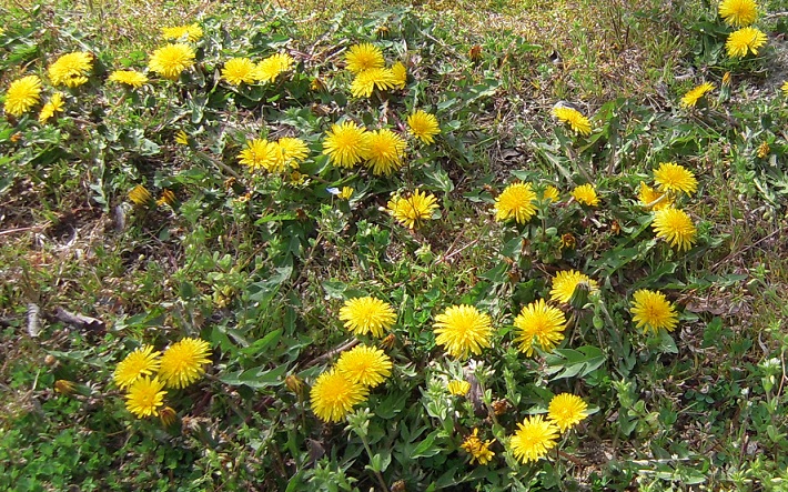 DSCN6972.jpg