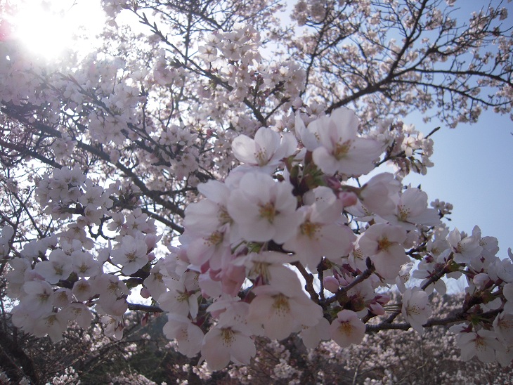 DSCN6973.jpg