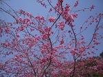 DSCN6975.jpg