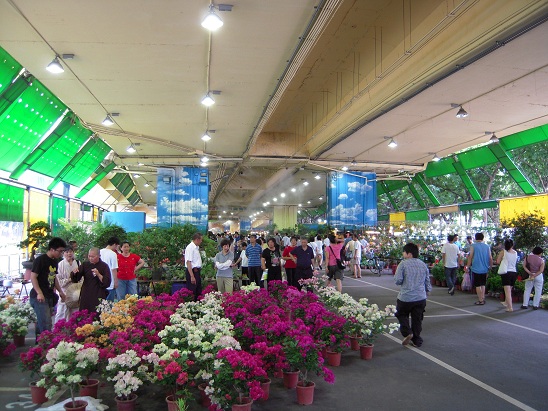 DSCN7122.jpg
