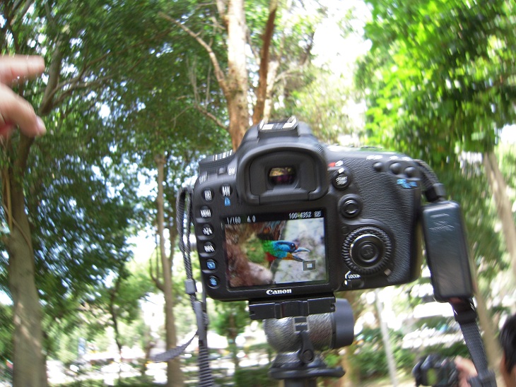 DSCN7173.jpg