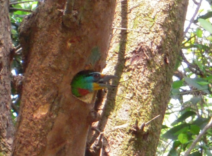 DSCN7175.jpg