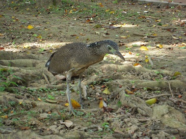 DSCN7180.jpg