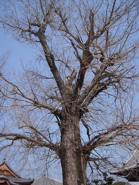 DSCN5553.jpg