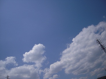 DSCN5801.jpg