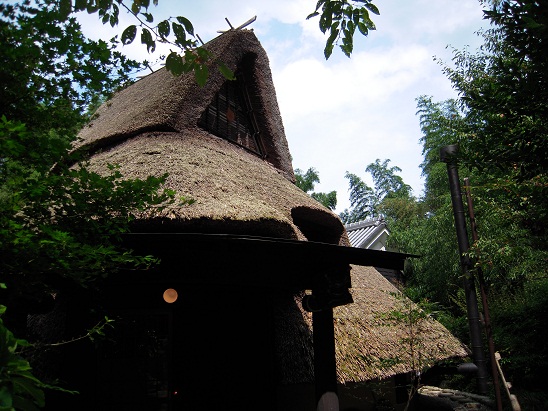 DSCN6407.jpg