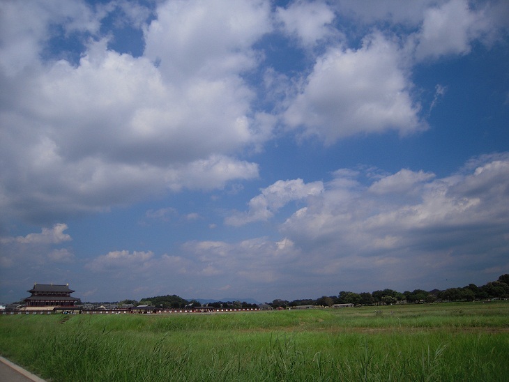 DSCN6436.jpg