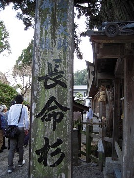 DSCN5566.jpg