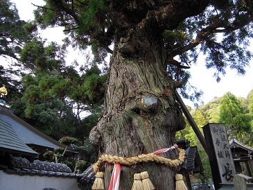 DSCN5567.jpg