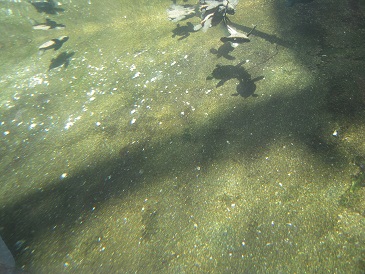 DSCN6279.jpg