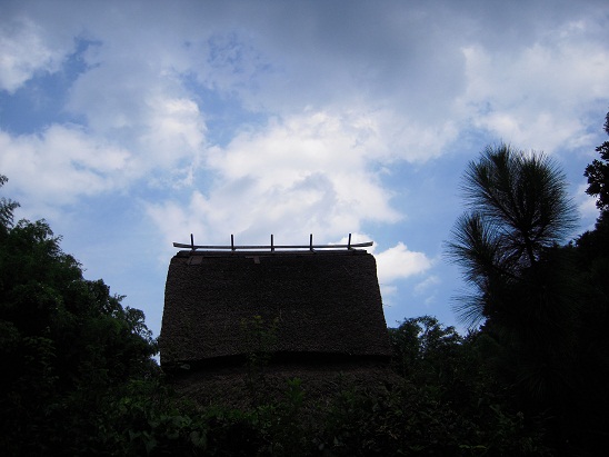 DSCN6406.jpg