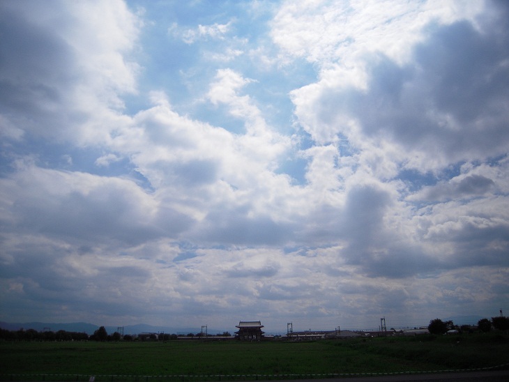 DSCN6437.jpg
