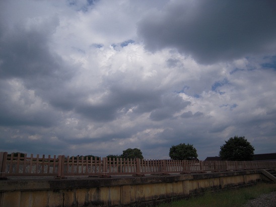 DSCN6456.jpg