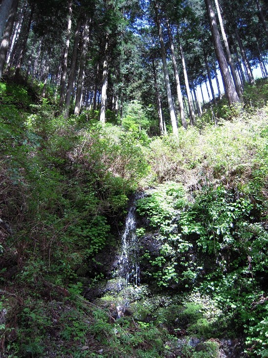 DSCN6985.jpg