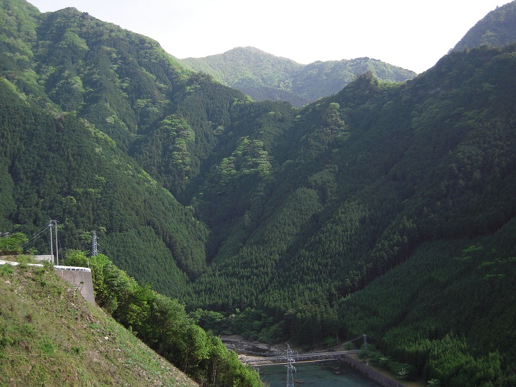 DSCN7003.jpg
