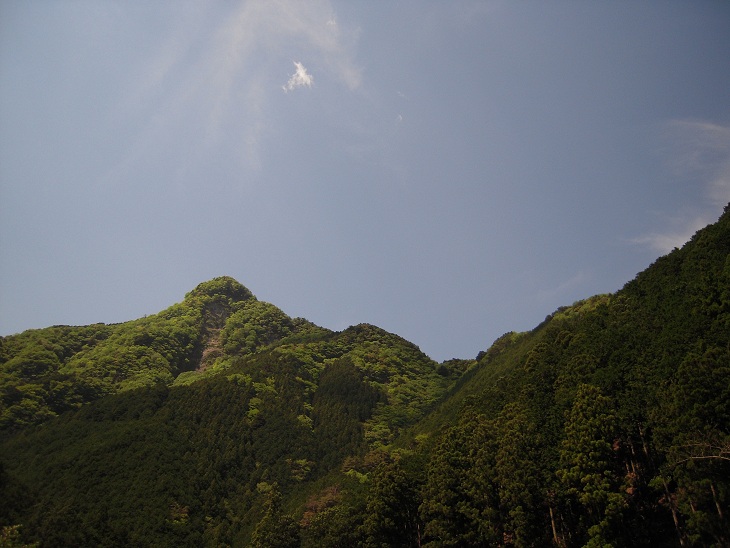 DSCN7020.jpg