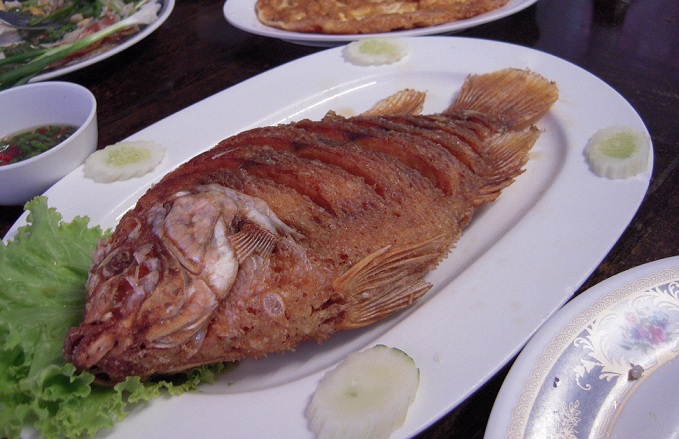 DSCN7331.jpg