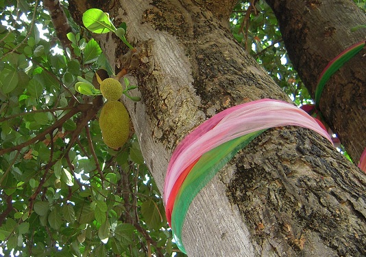DSCN7356.jpg