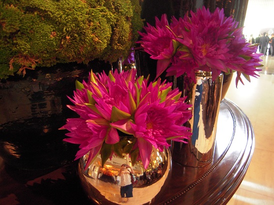DSCN7469.jpg